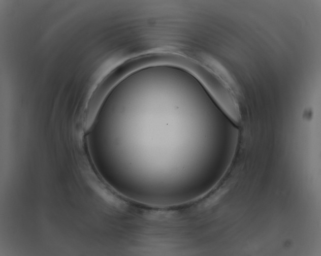 X0000094941284200712131552