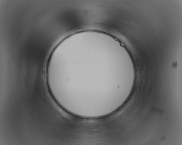 X0000094941286200712131552