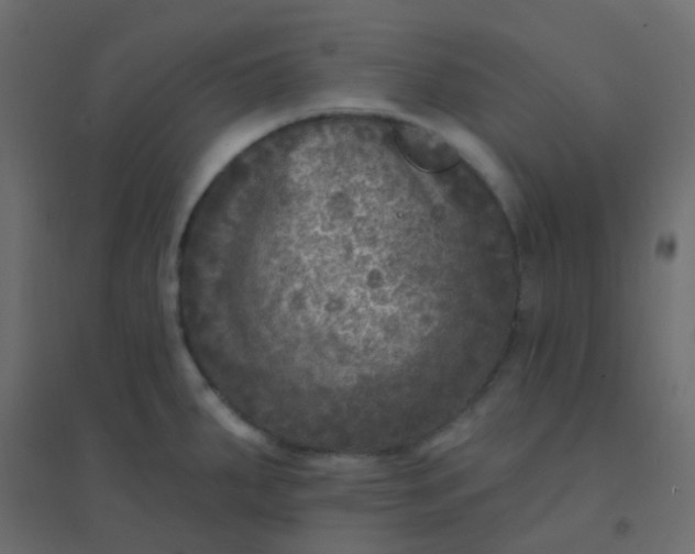 X0000094941287200712131552