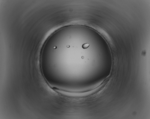 X0000094941288200712131552