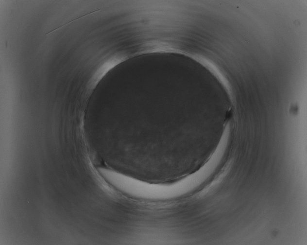 X0000094941289200712131551