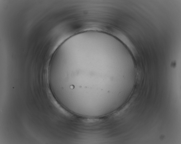 X0000094941290200712131551