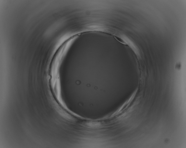 X0000094941291200712131551