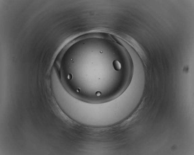 X0000094941292200712131551