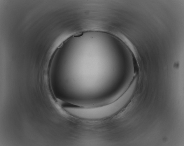 X0000094941293200712131551