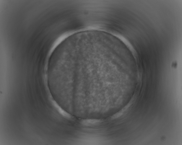 X0000094941294200712131551