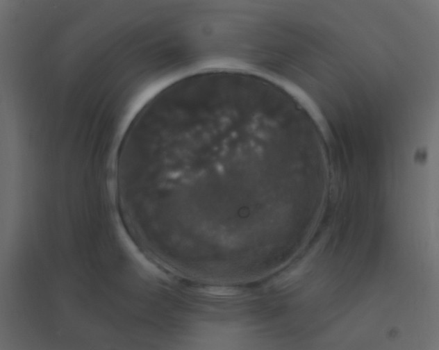 X0000094941295200712131551