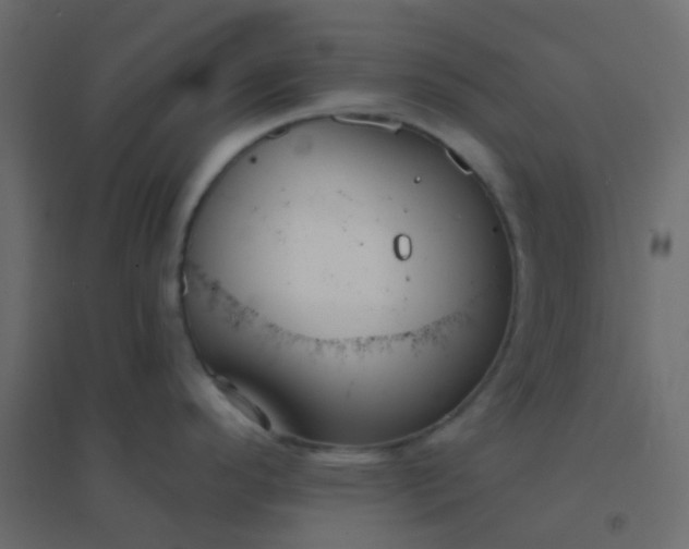 X0000094941296200712131551