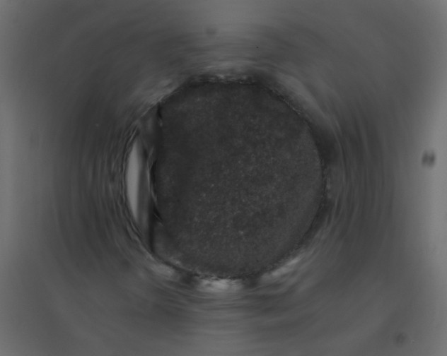 X0000094941298200712131551