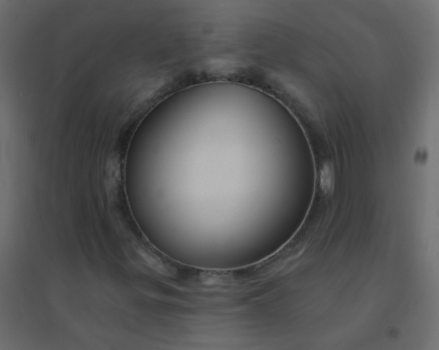 X0000094941299200712131551