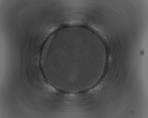 X0000094941300200712131551