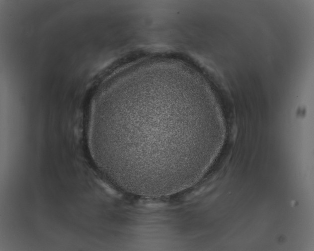 X0000094941301200712131551