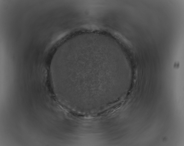 X0000094941302200712131551