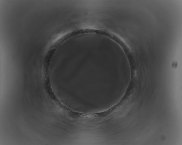 X0000094941303200712131551