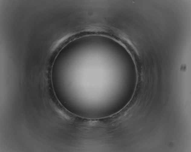 X0000094941304200712131551