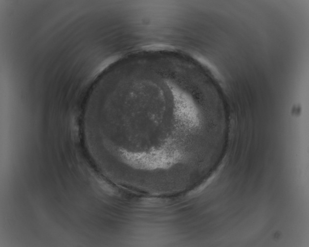 X0000094941305200712131551