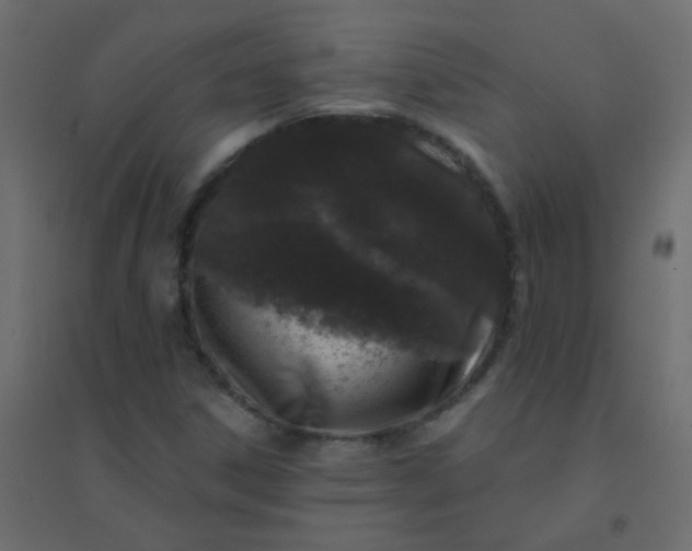 X0000094941306200712131551