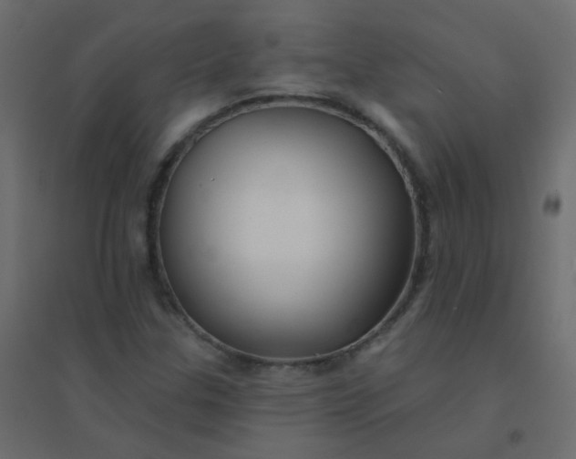 X0000094941307200712131551