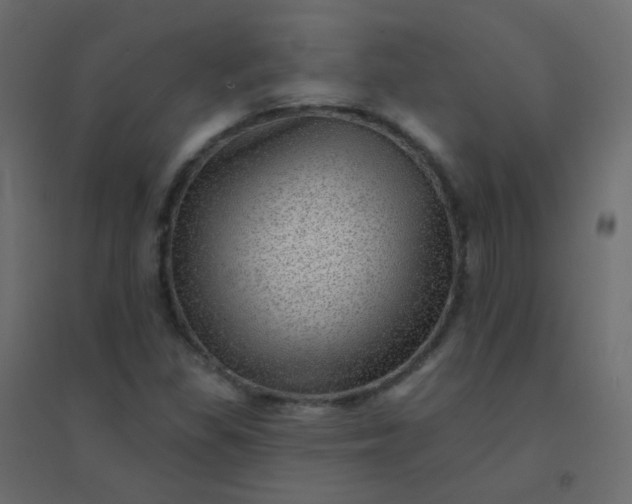 X0000094941309200712131551