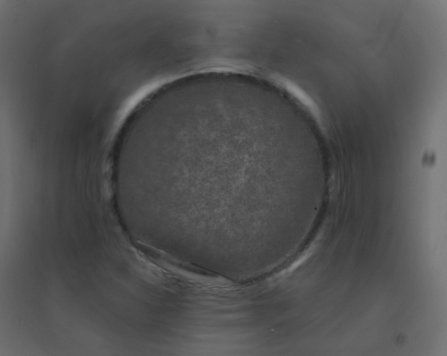 X0000094941310200712131551