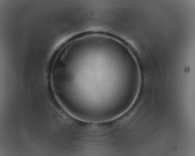 X0000094941311200712131551