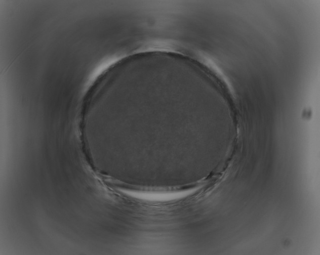 X0000094941312200712131551