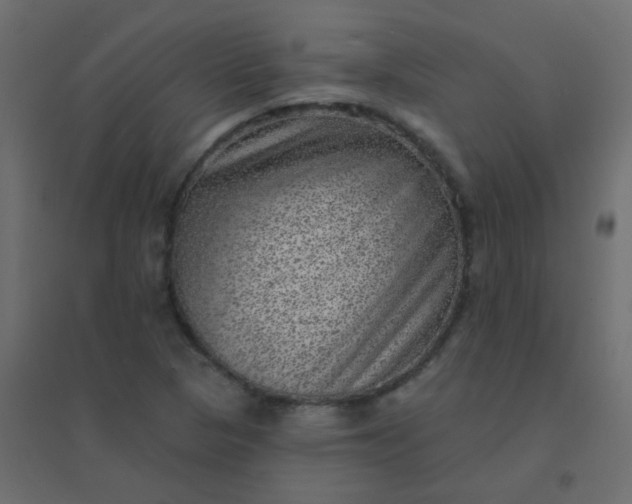 X0000094941313200712131551