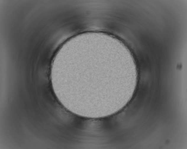 X0000094941314200712131551