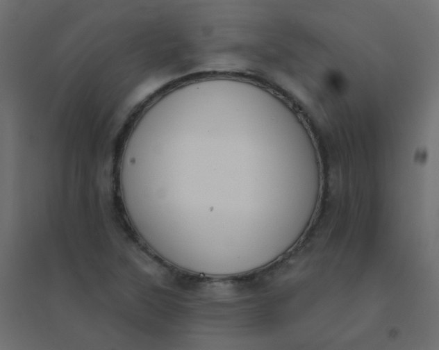 X0000094941315200712131551