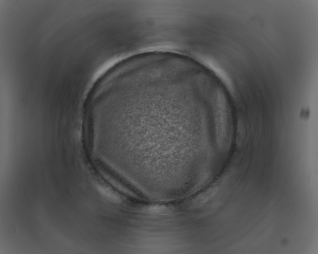 X0000094941316200712131551