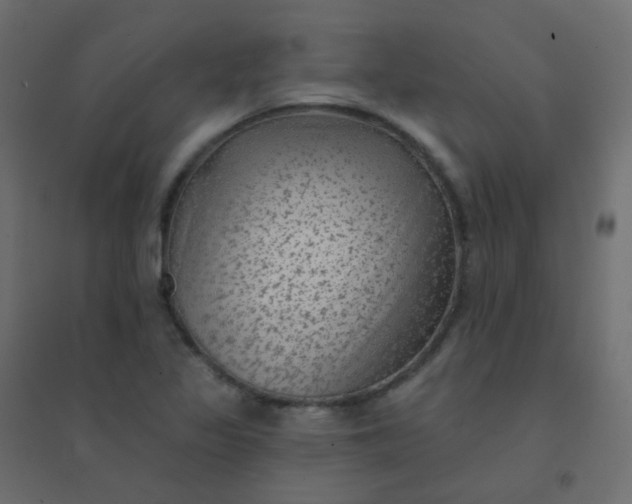 X0000094941317200712131551