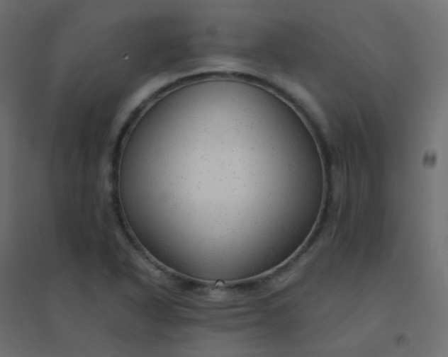 X0000094941318200712131551