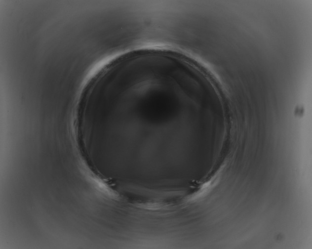 X0000094941319200712131551