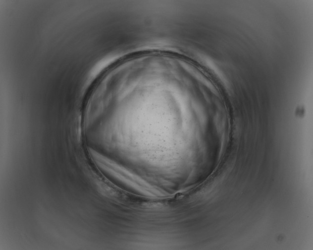 X0000094941320200712131551