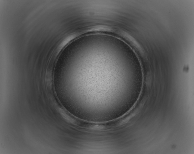 X0000094941321200712131551