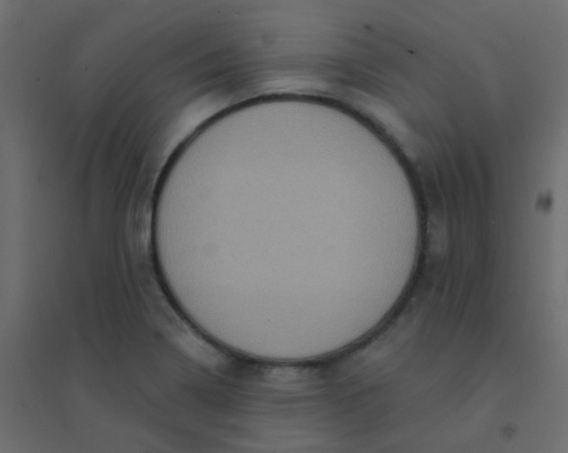 X0000094941322200712131551