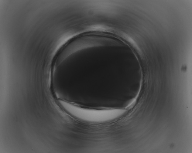 X0000094941323200712131551