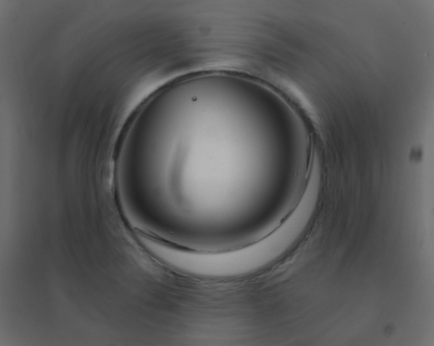 X0000094941324200712131551