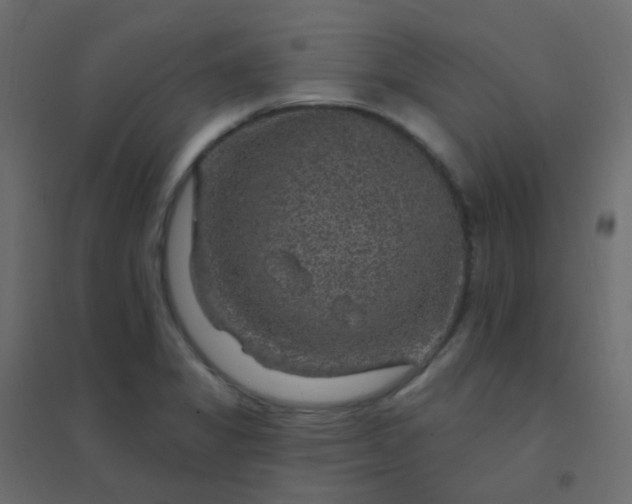 X0000094941325200712131551