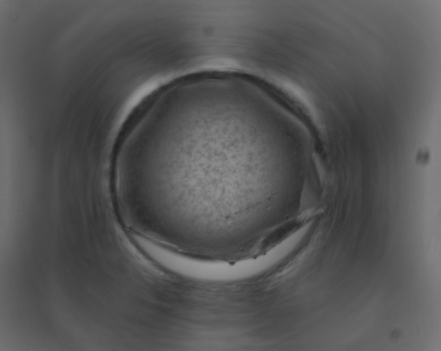 X0000094941326200712131551