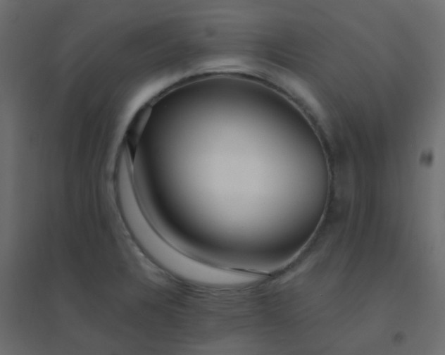 X0000094941328200712131551