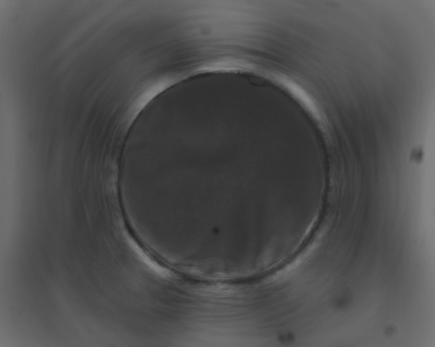 X0000094941329200712131551