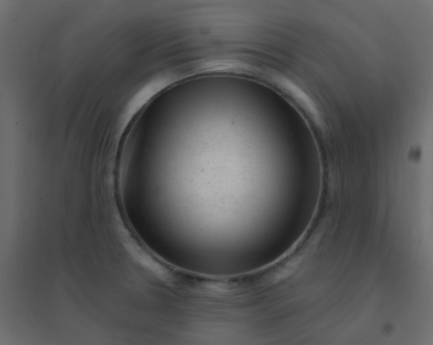 X0000094941330200712131551