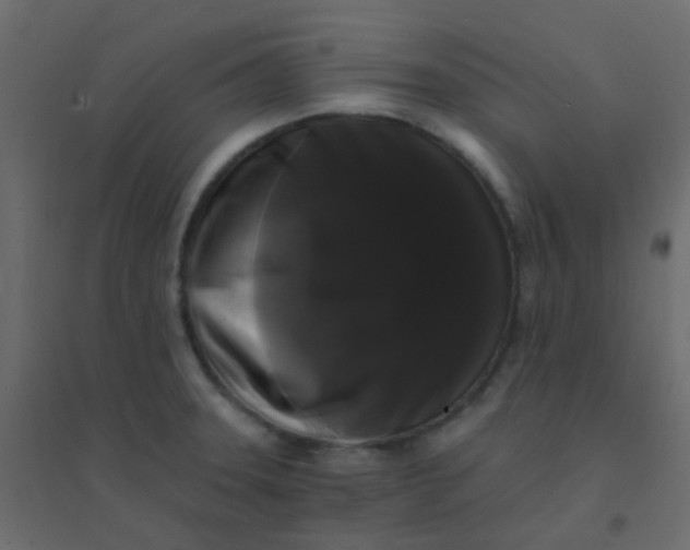 X0000094941331200712131551