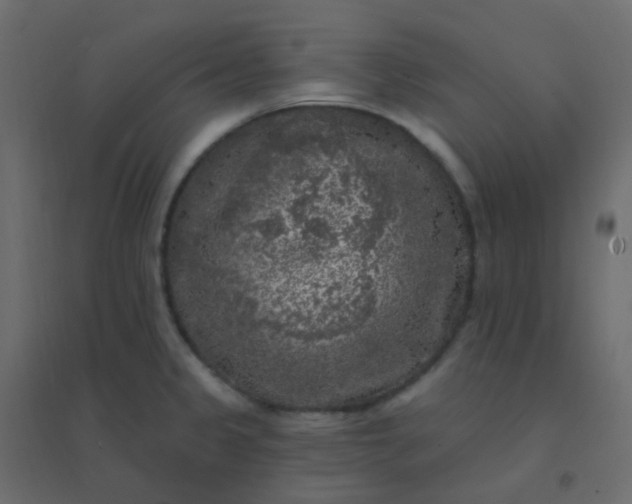 X0000094941333200712131551