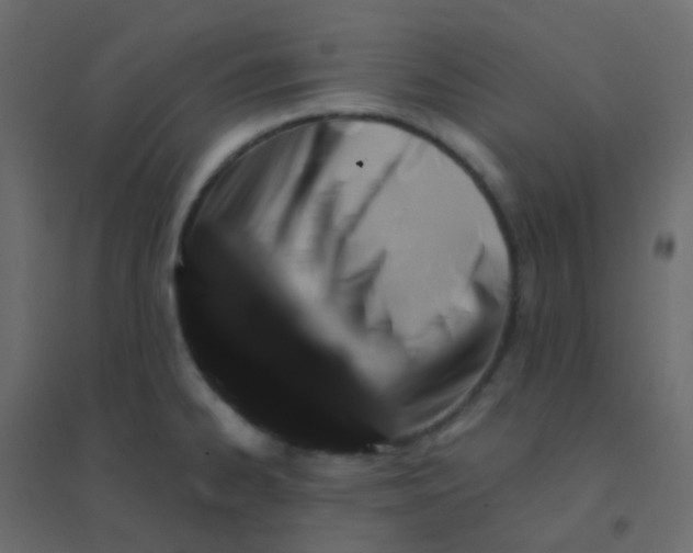 X0000094941334200712131551