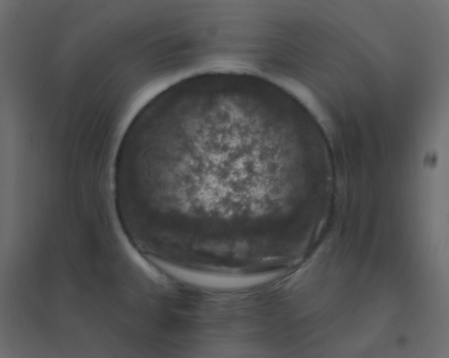 X0000094941335200712131551