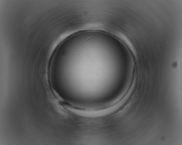 X0000094941336200712131551