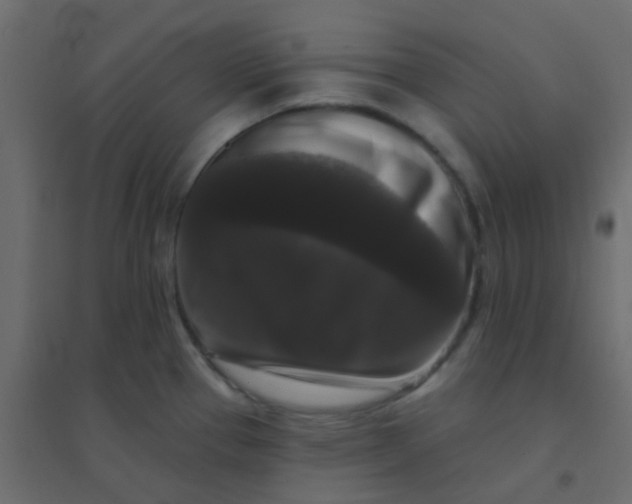 X0000094941337200712131551