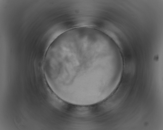 X0000094941338200712131551